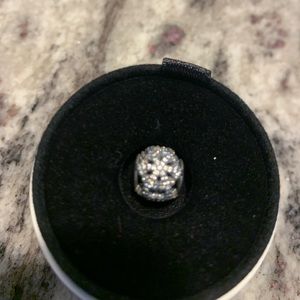 Limited Edition Pandora Charm
